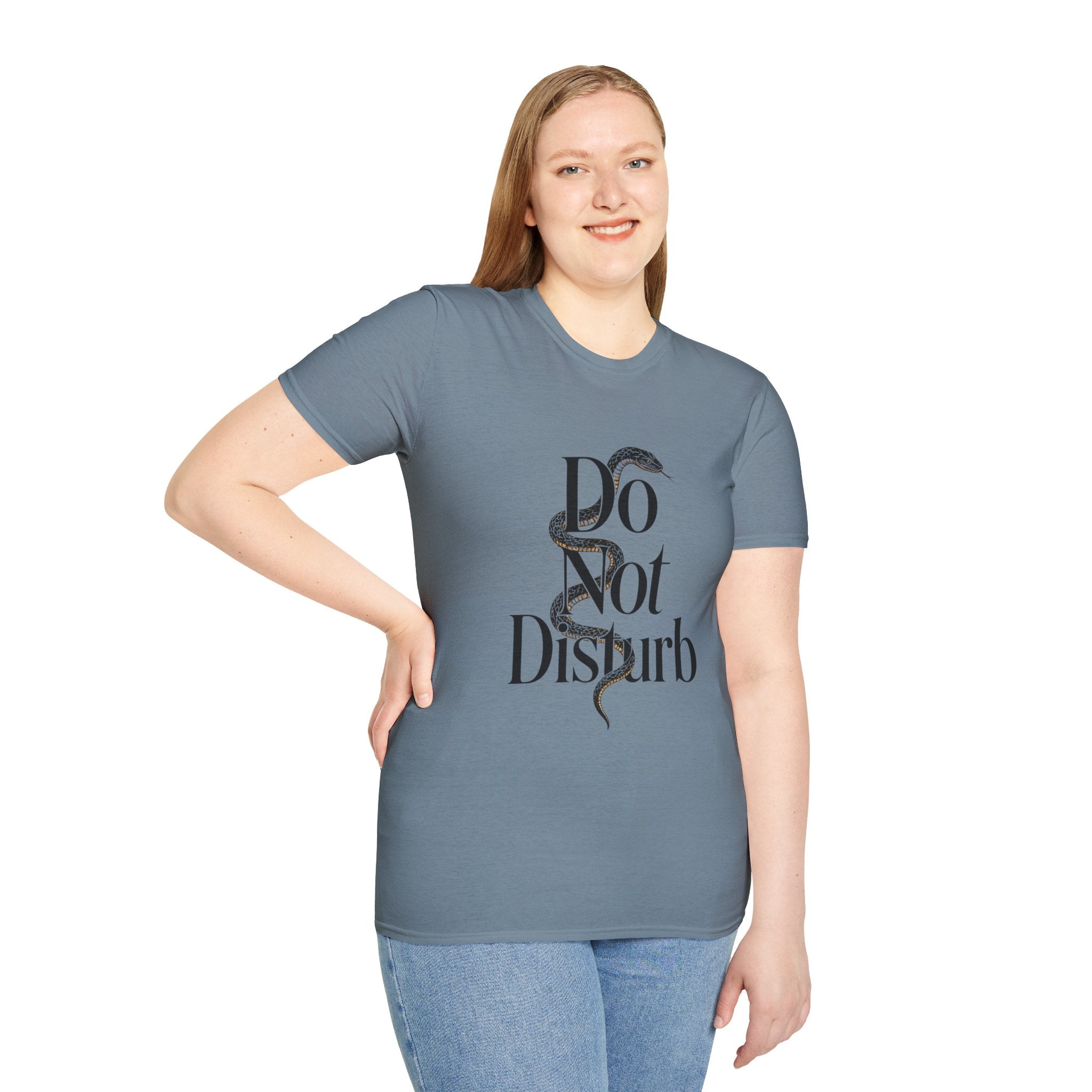 Do Not Disturb Snake T-Shirt — Graphic Relaxed Fit Tee with Serpent Art