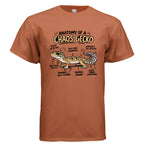 TEXAS ORANGE - G500 - FRONT